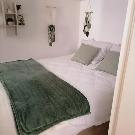 T2 Rez-de-jardin St Cyprien Apartamento