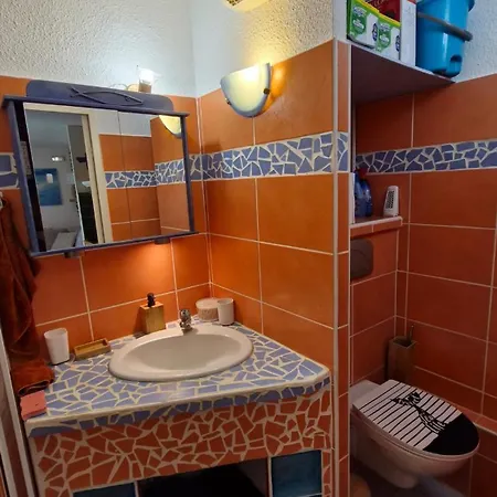 T2 Rez-de-jardin St Cyprien Apartment Saint-Cyprien (Pyrenees-Orientales)